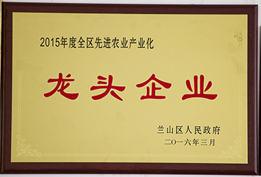 龙头企业2015.jpg